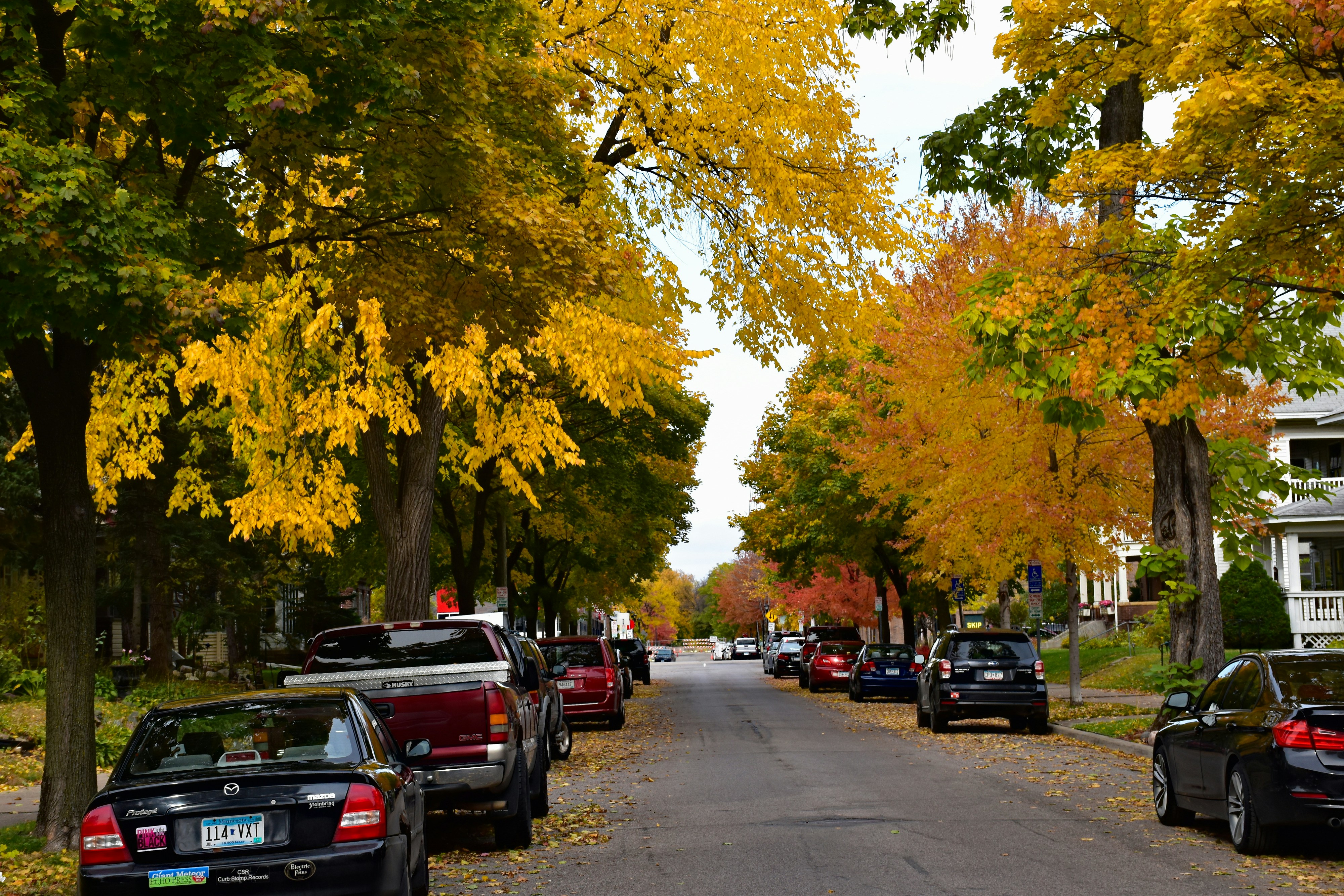 Neighborhood street with small businesses